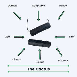 Chewigem Cactus Chubes purukoru